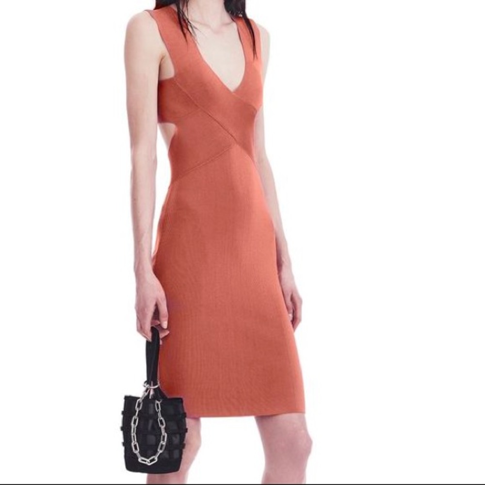 T by Alexander Wang Short Dress
